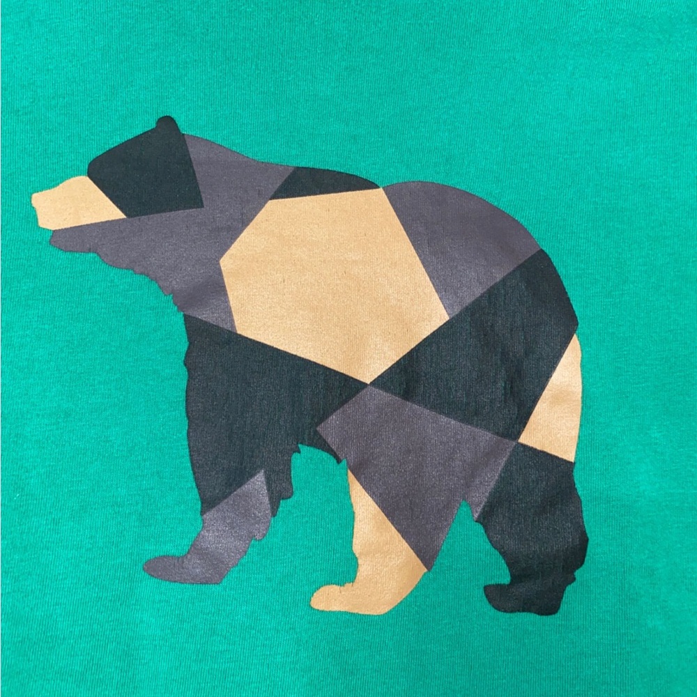 Hanna Andersson Green Tee with Geometric Bear - Picture 3 of 5
